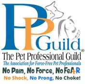 Pet Professional Guild 2022